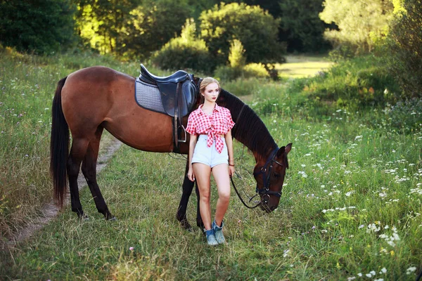 馬とフィールドで美しい女性 — ストック写真