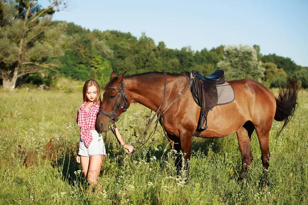 Mooie Vrouw Een Veld Met Een Paard — Stockfoto