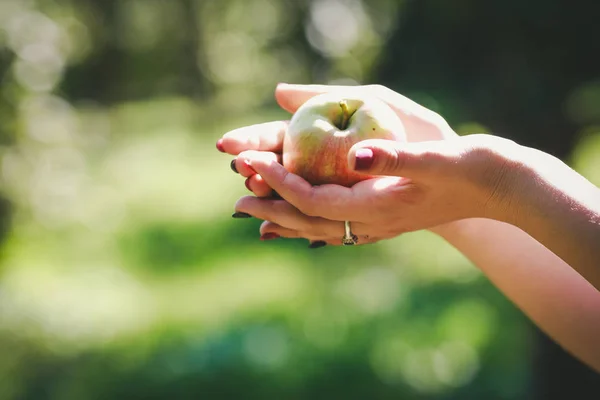 Яблуко Руках Молодої Жінки — стокове фото