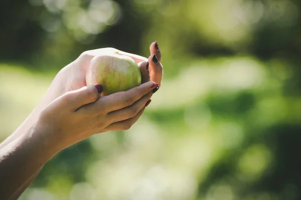 Яблуко Руках Молодої Жінки — стокове фото