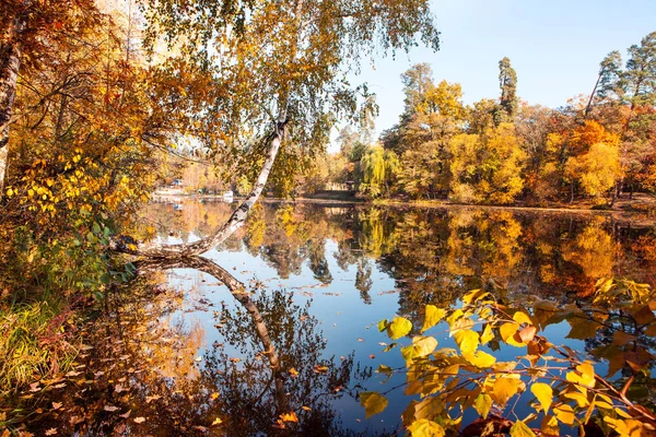 Linda Paisagem Outono Com Céu Azul Folhas Douradas Belo Lago — Fotografia de Stock