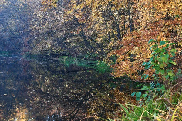 Niesamowicie Piękna Jesień Las Krajobraz Jeziorem — Zdjęcie stockowe