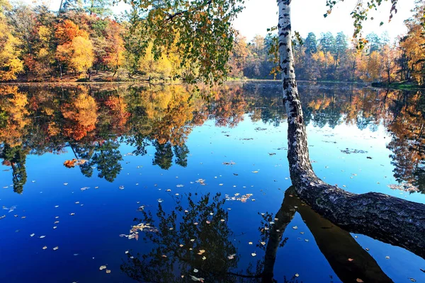 Increíblemente Hermoso Paisaje Bosque Otoño Con Lago — Foto de Stock