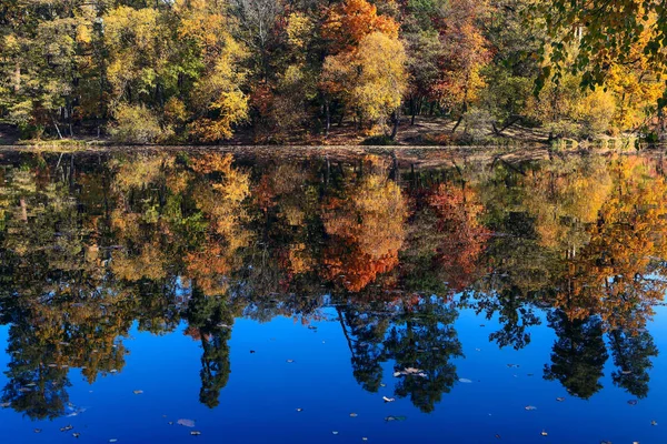 Paisagem Floresta Outono Incrivelmente Bonita Com Lago — Fotografia de Stock