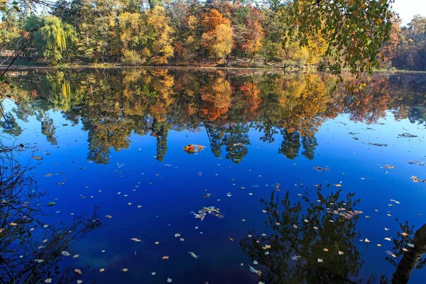 Niesamowicie Piękna Jesień Las Krajobraz Jeziorem — Zdjęcie stockowe