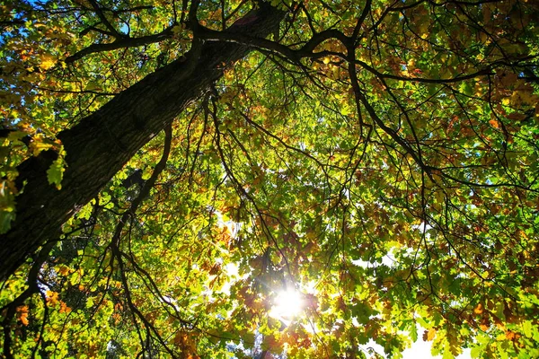 Beautiful Autumn Landscapes Architecture — Stock Photo, Image