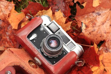 Sonbahar yaprakları Retro kamera