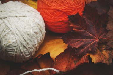 sıcak sonbahar kıyafetleri konu ve yaprakları ile örme