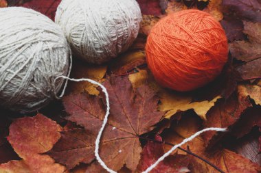 sıcak sonbahar kıyafetleri konu ve yaprakları ile örme