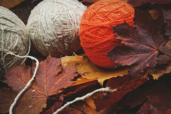 Warme Herbstliche Strickkleidung Mit Fäden Und Blättern — Stockfoto