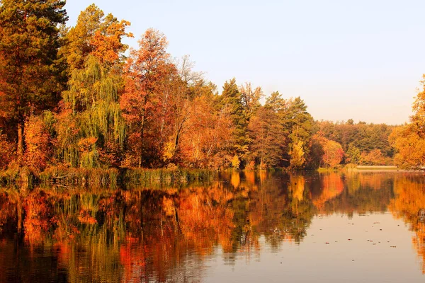 Göl Güzel Renkli Sonbahar Yatay — Stok fotoğraf