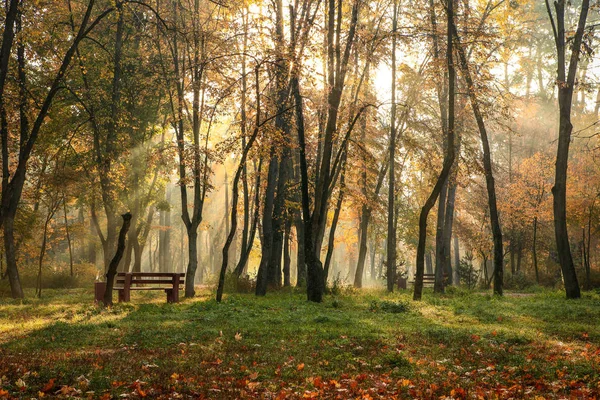 Krásná Barevná Podzimní Krajina — Stock fotografie
