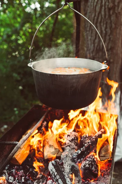 Cooking Pot Fire Nature — Stock Photo, Image