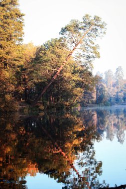 Gölü olan güzel sonbahar manzarası