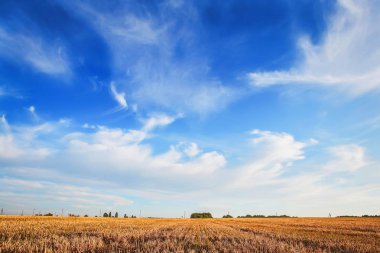 güzel manzara muhteşem gökyüzü ve gün ışığı ile
