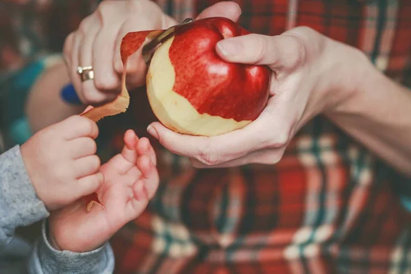 Manzanas Rojas Jugosas Sus Manos — Foto de Stock