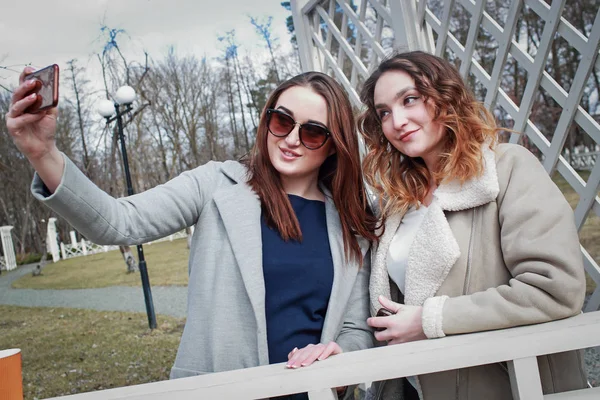 两个女朋友在社交网络的电话自拍 — 图库照片