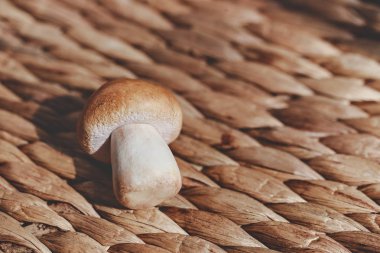 beyaz mantar stüdyo fotoğrafı