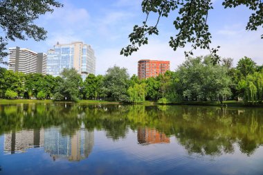 çok katlı evlerin arka planda bir göl ve bir orman ile güzel manzara