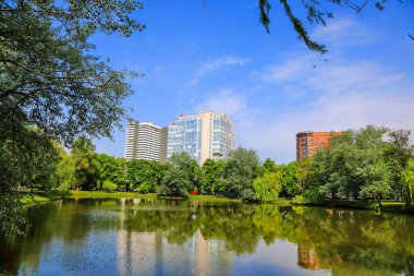 çok katlı evlerin arka planda bir göl ve bir orman ile güzel manzara