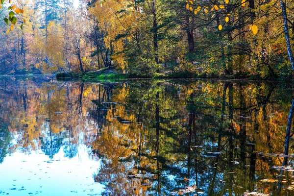 Hermoso Paisaje Otoño Con Hojas Que Caen Lago — Foto de Stock