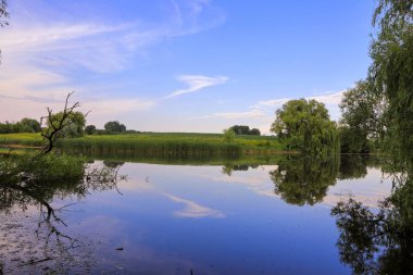 bir göl ile güzel gündüz yaz manzara