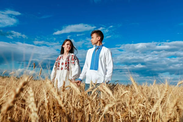 Chlapec Dívka Pšeničném Poli Vyšívaných Šatech — Stock fotografie