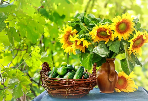 beautiful yellow sunflowers in a vase and picked cucumbers on the table