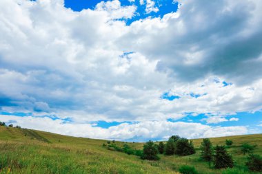 güzel gündüz orman manzara yaz