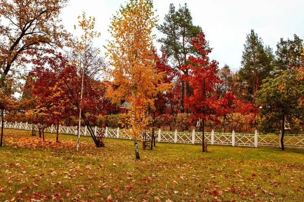Schöne Herbstlandschaft Mit Fallenden Blättern — Stockfoto