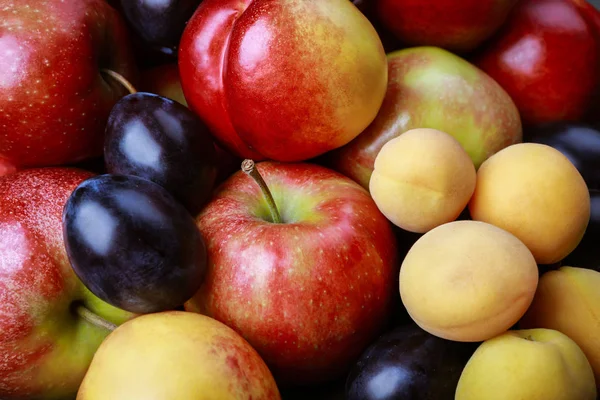 Äpfel Pflaumen Nektarinen Und Aprikosen Auf Dem Tisch — Stockfoto