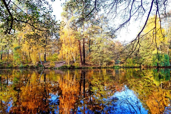 Bela Paisagem Verão Diurno Com Lago — Fotografia de Stock