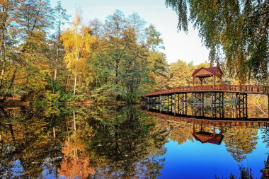 bir göl ile güzel gündüz yaz manzara