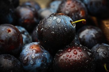 güzel ev erik arka plan