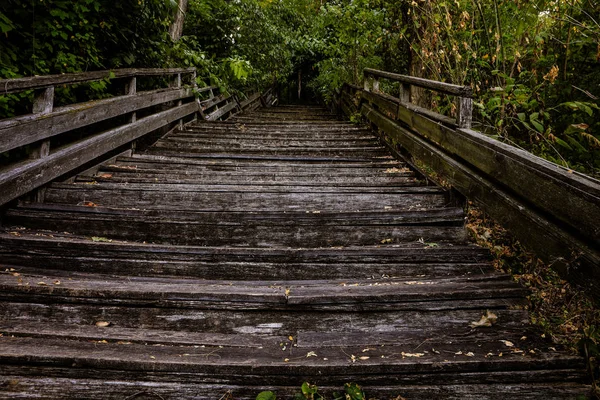 old broken wooden bridge in the forest