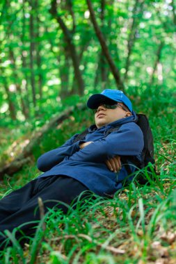 Gezgin adam ormanda yürüyor