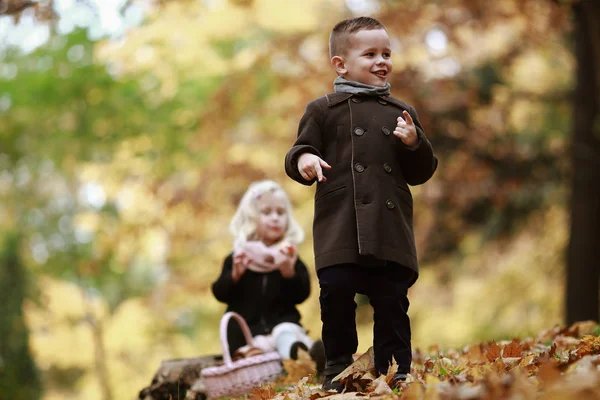 Kinderunterhaltung Herbstlichen Wald — Stockfoto