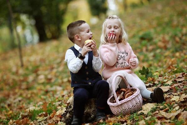 Children Entertainment Autumn Forest — Stock Photo, Image