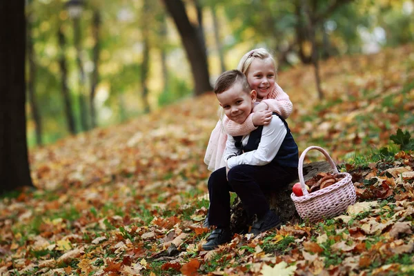 Entretenimento Infantil Floresta Outono — Fotografia de Stock