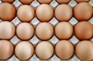 bir kağıt büyük tepside taze yumurta