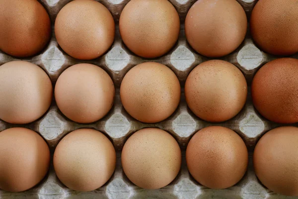 bir kağıt büyük tepside taze yumurta