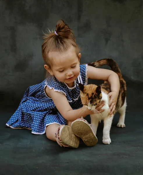 Petite Fille Dans Une Belle Robe Joue Avec Chat Dans — Photo