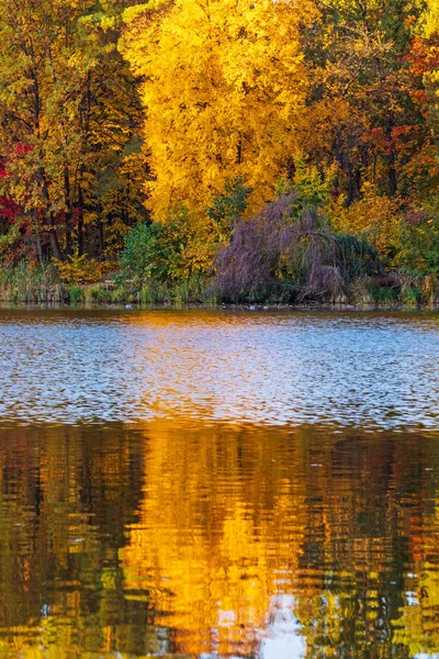 Bela Paisagem Outono Com Folhas Caindo Lago — Fotografia de Stock