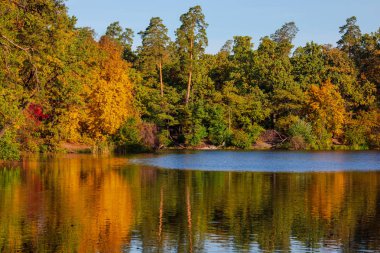 gölde düşen yaprakları ile güzel sonbahar manzara