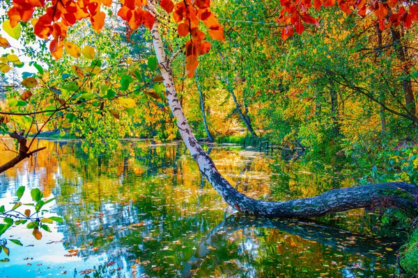 Schöne Herbstlandschaft Mit Fallenden Blättern See — Stockfoto