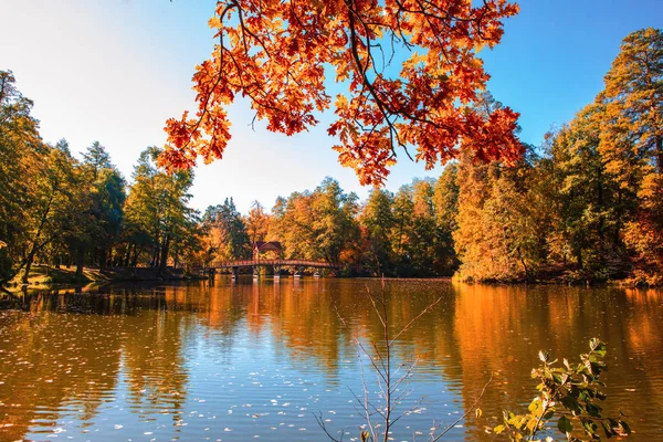 Hermoso Paisaje Otoño Con Hojas Que Caen Lago — Foto de Stock