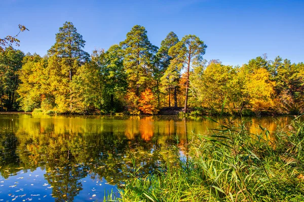 gölde düşen yaprakları ile güzel sonbahar manzara