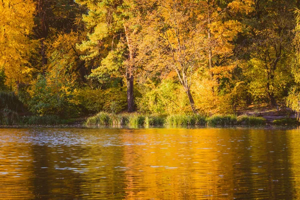Beau Paysage Automne Avec Des Feuilles Tombantes Dans Lac — Photo