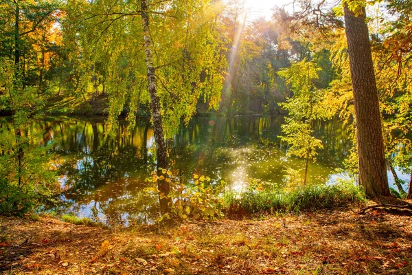 Beau Paysage Automne Avec Des Feuilles Tombantes Dans Lac — Photo