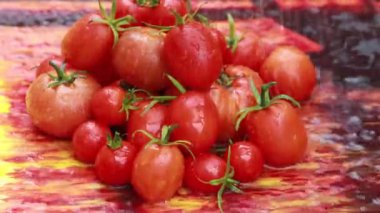 yağmurda taze domates aldı